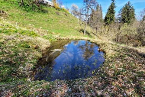 Farovski pirpamov ribnik zgornja kapla jezera slovenije moja jezera manca korelc 4