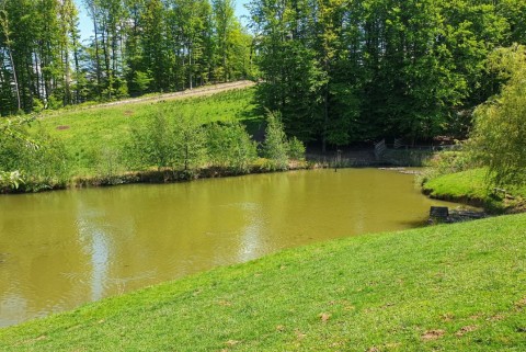Rogaska slatina jezera slovenska jezera moja jezera manca korelc 5