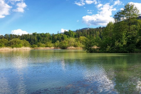 Dravograjsko jezero crnesko jezero jezera slovenije moja jezera manca korelc 14