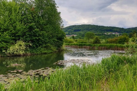 Vodomcev gaj visit grosuplje jezera slovenije slovenska jezera moja jezera manca korelc 8