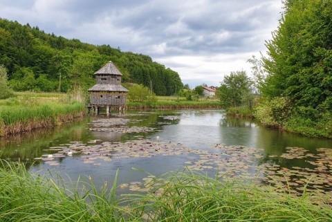 Vodomcev gaj visit grosuplje jezera slovenije slovenska jezera moja jezera manca korelc 15