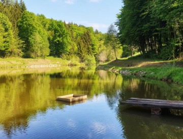Ribnik Stanečka vas | Jezera Slovenije | Moja jezera