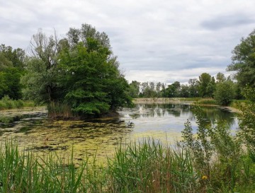 Ribnika Hrastje Mota | Jezera Slovenije | Moja jezera