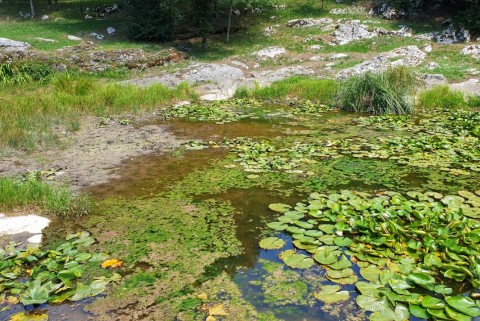 Sinjevrski kal jezera slovenije bela krajina moja jezera manca korelc 4