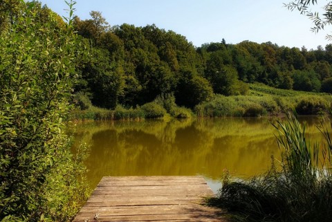 Gornji kal bela krajina slovenska jezera moja jezera manca korelc 3
