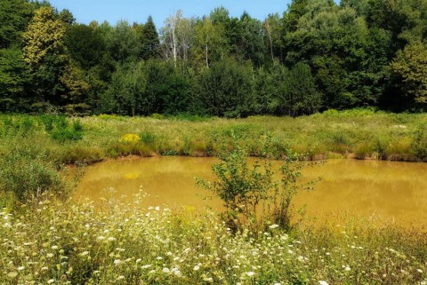 Kal krseljivec krajinski park lahinja moja jezera slovenska jezera moja jezera manca korelc 4