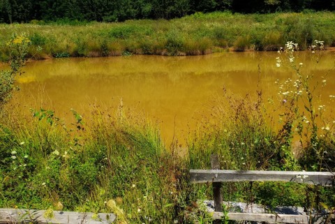 Kal krseljivec krajinski park lahinja moja jezera slovenska jezera moja jezera manca korelc 5