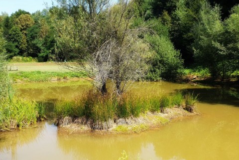 Kal krivace krajinski park lahinja moja jezera slovenska jezera moja jezera manca korelc 3