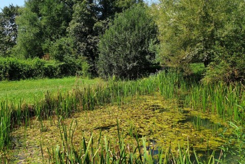 Izvir lahinje krajinski park lahinja moja jezera slovenska jezera moja jezera manca korelc 1