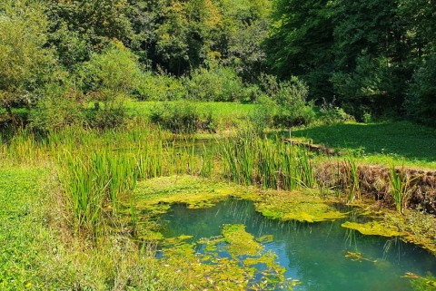 Izvir lahinje krajinski park lahinja moja jezera slovenska jezera moja jezera manca korelc 6