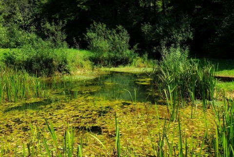 Izvir lahinje krajinski park lahinja moja jezera slovenska jezera moja jezera manca korelc 7