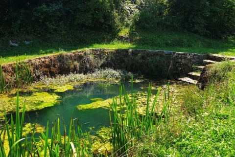 Izvir lahinje krajinski park lahinja moja jezera slovenska jezera moja jezera manca korelc 8