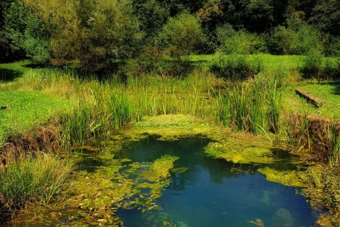 Izvir lahinje krajinski park lahinja moja jezera slovenska jezera moja jezera manca korelc 9