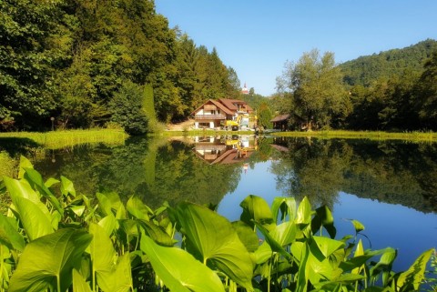 Kozjansko pilstanj jezera slovenija moja jezera manca korelc 4
