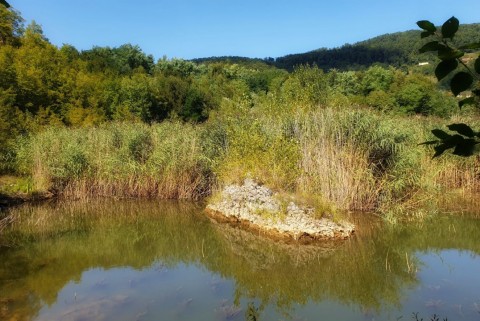 Kozjansko restanj jezera slovenija moja jezera manca korelc 5