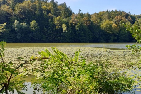 Kozjansko ribniki mackovci jezera slovenija moja jezera manca korelc 13
