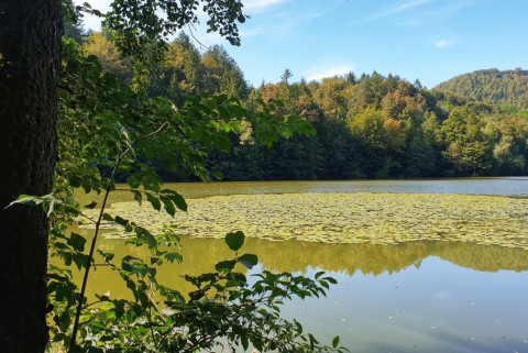 Kozjansko ribniki mackovci jezera slovenija moja jezera manca korelc 15