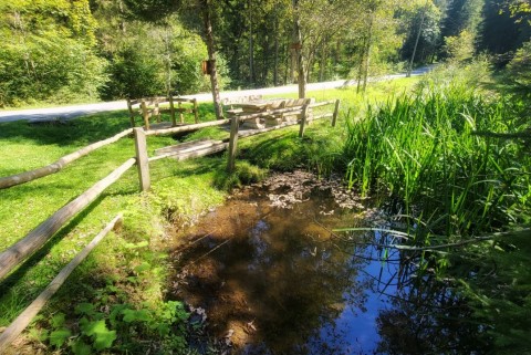 Koroska naravni park bistra jezera slovenije moja jezera manca korelc 1