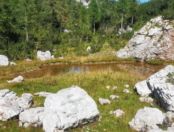 Krvava lokev | Jezera Slovenije | Moja jezera