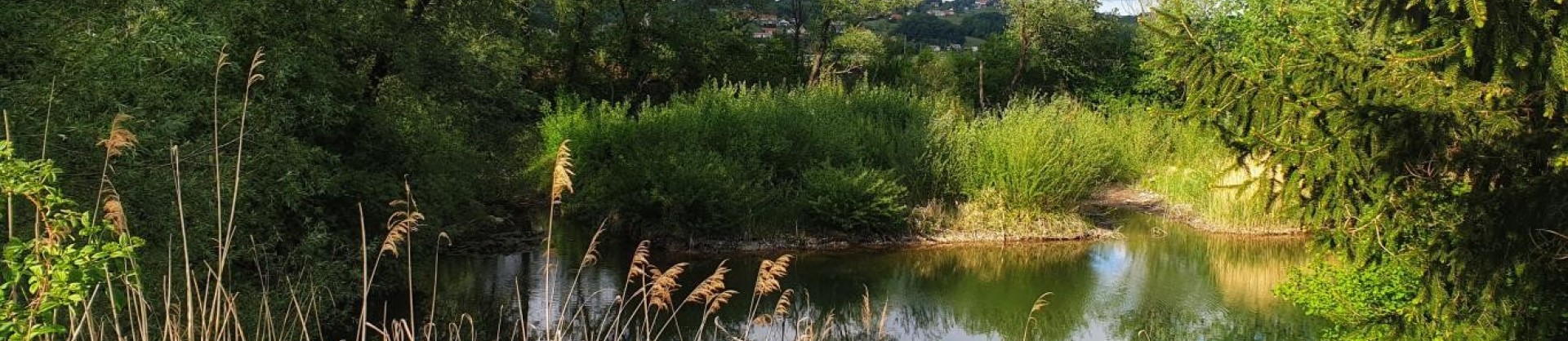Jezero oslusevci ormoz haloze moja jezera jezera slovenije manca korelc 2 sl