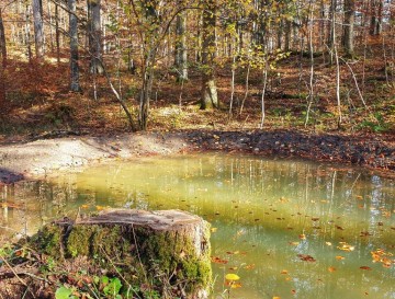 Kal pri Kuželjski steni | Jezera Slovenije | Moja jezera