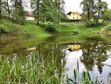 Bajer v Matenji vasi | Moja jezera | Vsa slovenska jezera | Manca Korelc
