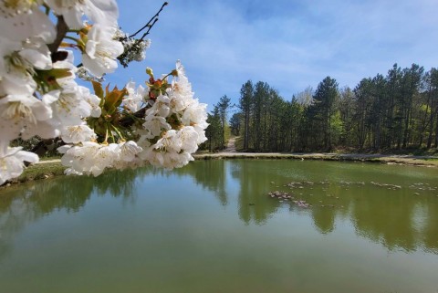 Jezero galantici slovenska istra moja jezera manca korelc 6
