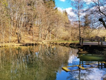 Jezero v Potoku pri Muljavi | Jezera Slovenije | Moja jezera