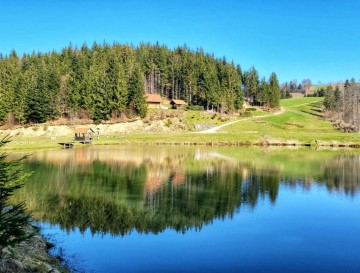 Odomovo jezero | Jezera Slovenije | Moja jezera 