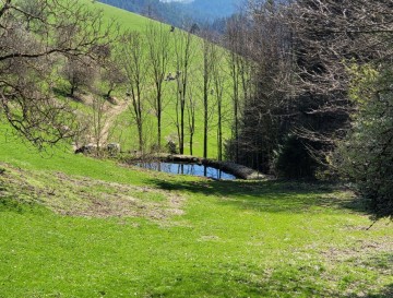 Mlaka ob kmetiji Beber fest | Jezera Slovenije | Moja jezera