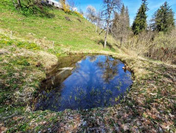 Farovški in Pirpamov ribnik | Jezera Slovenije | Moja jezera