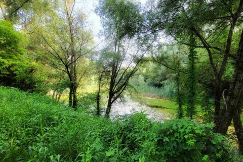 Starski ribnik jezera slovenije slovenska jezera moja jezera moja jezera 5
