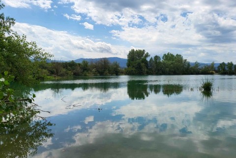 Borski bajer jezera slovenije moja jezera manca korelc 4