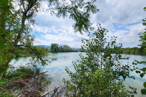 Borski bajer jezera slovenije moja jezera manca korelc 6
