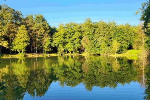 Jezero tajht novi kloster polzela jezera slovenije slovenska jezera moja jezera manca korelc 5