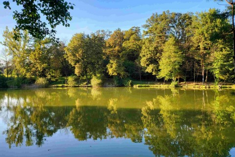 Jezero tajht novi kloster polzela jezera slovenije slovenska jezera moja jezera manca korelc 6