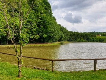 Ribnik Rogatec | Jezera Slovenije | Moja jezera