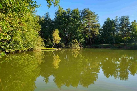 Jezero tajht novi kloster polzela jezera slovenije slovenska jezera moja jezera manca korelc 7