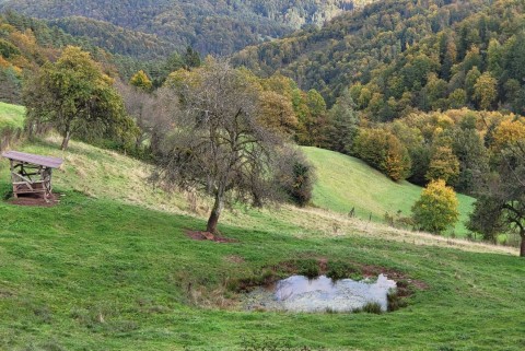 Javorje jezera slovenije slovenska jezera moja jezera manca korelc 3