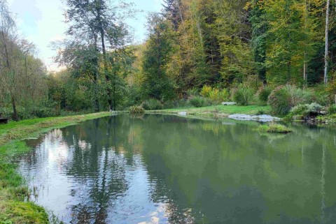 Mlinsko jezero gostilna pustov mlin jezera slovenije slovenska jezera moja jezera manca korelc 2