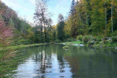 Mlinsko jezero gostilna pustov mlin jezera slovenije slovenska jezera moja jezera manca korelc 3