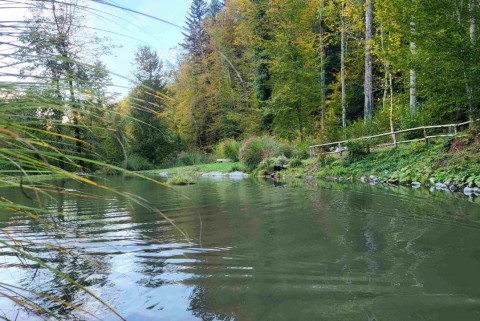 Mlinsko jezero gostilna pustov mlin jezera slovenije slovenska jezera moja jezera manca korelc 5