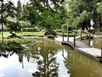 Bistriški ribnik | Moja jezera | Manca Korelc