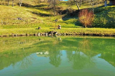 Piknic plac kos ribnik jezera slovenije slovenska jezera moja jezera manca korelc 5