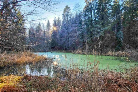 Ribnik zabukovica jezera slovenije slovenska jezera moja jezera manca korelc 5