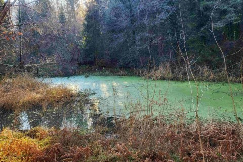 Ribnik zabukovica jezera slovenije slovenska jezera moja jezera manca korelc 7