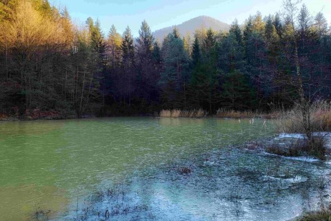 Ribnik liboje jezera slovenije slovenska jezera moja jezera manca korelc 4
