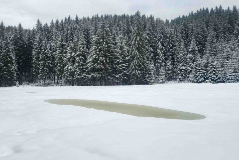 Belska planina pokljuka jezera slovenije slovenska jezera moja jezera manca korelc 1
