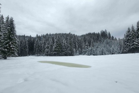 Belska planina pokljuka jezera slovenije slovenska jezera moja jezera manca korelc 2