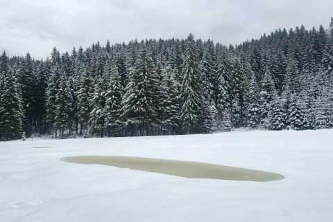 Belska planina pokljuka jezera slovenije slovenska jezera moja jezera manca korelc 3